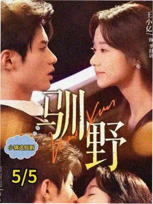 小巷人家获奖